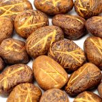 Indiai Rúna Kövek - Kígyó Jáspis