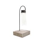 Hidroponikus Dekorációs Kaspó - Kémcső