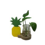 Hidroponikus Dekorációs Kaspó - Ananász