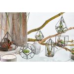 Üveg Terrárium - Kocka