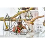 Üveg Terrárium - Kocka