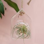 Üveg Florárium - Akasztós Házikó