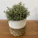 Tengerifű Fonott Kosár - natúr -3db-os szett