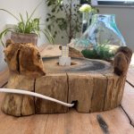 Alávilágított Akvárium Fa Alátéten