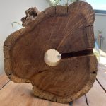 Alávilágított Akvárium Fa Alátéten