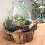 Alávilágított Akvárium Fa Alátéten