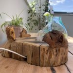 Alávilágított Akvárium Fa Alátéten