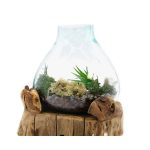 Alávilágított Akvárium Fa Alátéten