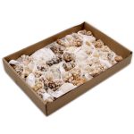 Ásvány Minták - Virág Kalcit (~ 20 darab)