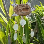 Fehér Teknős és Natúr Capiz Szélcsengő