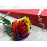 Szappanvirág - Szivárványos Rózsa