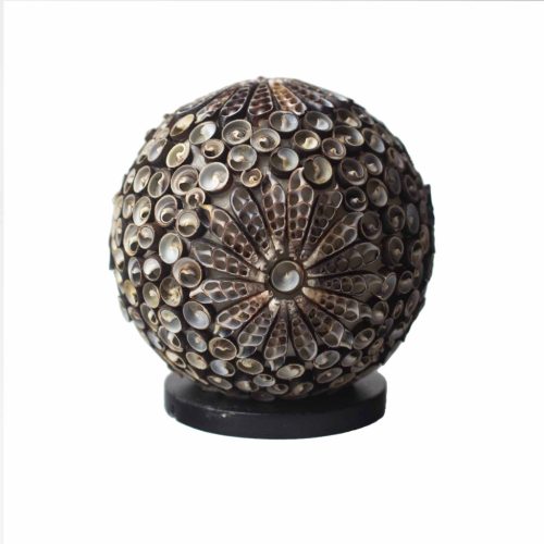 Boho Kagyló Lámpa - Barna Gömbölyű - 15cm