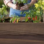 Deco elevated műanyag kerti virágláda alsó polccal 110l