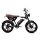 Ape Ryder Genon Ultra 2 Személyes Városi és Off-Road E-Bike pedelec/moped fekete
