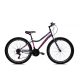 Capriolo Diavolo 600 26" női MTB kerékpár 17" Grafit-Lila