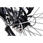 Capriolo E-bike City pedelec kerékpár Grafit