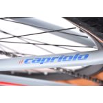 Capriolo MTB LC 29-3 29er kerékpár 21" Szürke