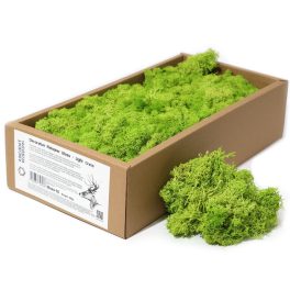 Minőségi Dekorációs Moha - Világoszöld  -  500g