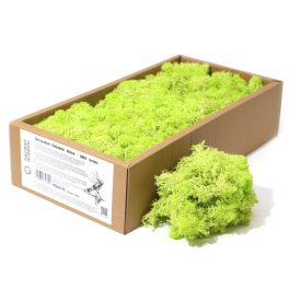 Minőségi Dekorációs Moha - Mentazöld  - 500g