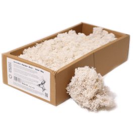 Minőségi Dekorációs Moha - Fehér - 500g