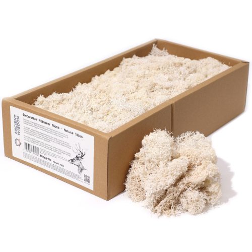 Minőségi Dekorációs Moha - Natúr - 500g