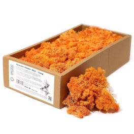 Minőségi Dekorációs Moha - Narancsszínű - 500g