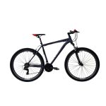Hegyi kerékpár Capriolo LC 9.1 MTB 29„/21” szürke - piros 2024