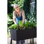 Keter Easy grow műrattan virágláda (magaságyás) - grafit szürke