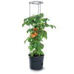 Prosperplast TOMATO GROWER kaspó paradicsom termesztésre 39,2 cm antracit