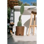 Prosperplast FURU ROUND LOW ECO WOOD kaspó 25 cm naturo