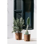 Prosperplast FURU ROUND LOW ECO WOOD kaspó 25 cm naturo