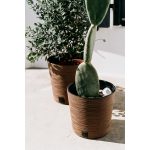 Prosperplast FURU ROUND LOW ECO WOOD kaspó 25 cm naturo