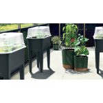 Virágcserép Prosperplast HOME GROWER paradicsom termesztéséhez 14,5 l antracit színben
