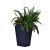 Keter Rattan kaspó S 23,6 l grafit