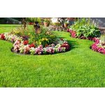 G21 kerti szegély 5 x 300 cm