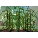 G21 200 x 300 x 200 cm, fóliasátor, zöld