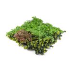 Mű zöld fal G21 Listo Forest, 50×50 cm