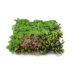 Mű zöld fal G21 Listo Forest, 50×50 cm