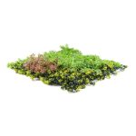 Mű zöld fal G21 Listo Forest, 50×50 cm