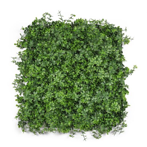 Mű zöld fal G21 Listo Berry, 50×50 cm