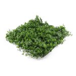 Mű zöld fal G21 Listo Berry, 50×50 cm