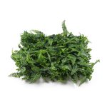 Mű zöld fal G21 Listo Ferns, 50×50 cm
