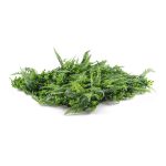 Mű zöld fal G21 Listo Ferns, 50×50 cm