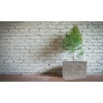 G21 Natur Box virágcserép 60 x 45 x 25