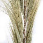 Tengerifű Homokszínű - 1.6m